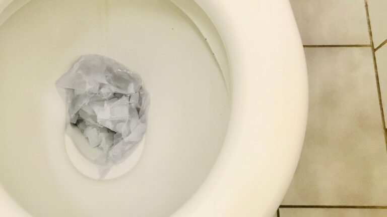 WC verstopft in Düsseldorf - Klempner in Düsseldorf - WC Reinigung - WC Verstopfung